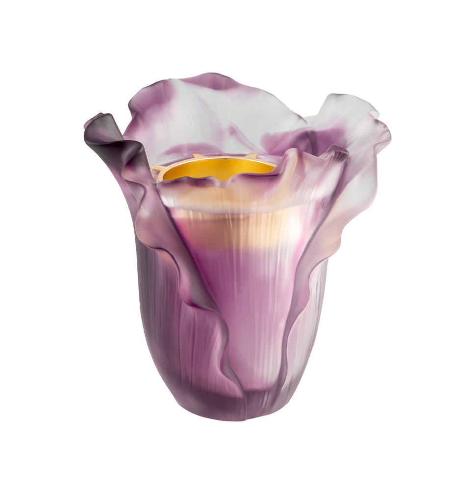 Picture of Burner Purple Cabbage